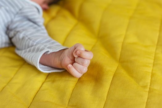 Little hands of a newborn baby, holding a fist, little fingers. The first month of a baby's life