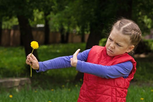 Child holding dandelion shown by hand against flower. Concept pollen allergy