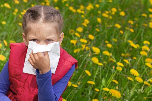 Caucasian little girl of 6 years holding napkin wiping nose by hand on dandelion lawn. Concept pollen allergy