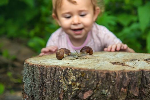 The child examines the snails on the tree. Selective focus. Kid.