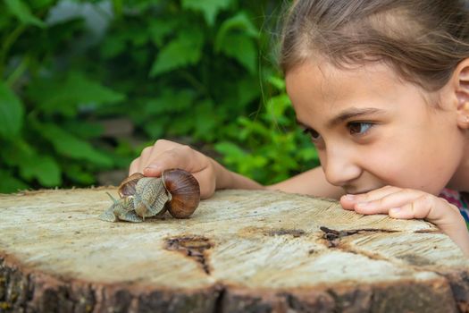 The child examines the snails on the tree. Selective focus. Kid.