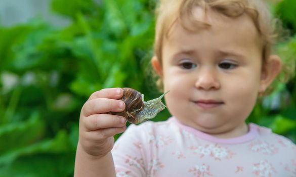 The child examines the snails on the tree. Selective focus. Kid.