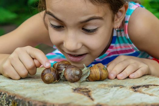 The child examines the snails on the tree. Selective focus. Kid.