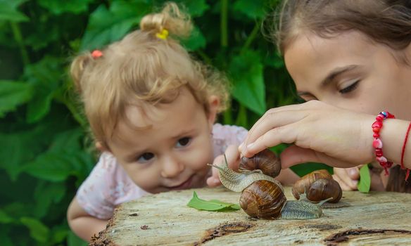 The child examines the snails on the tree. Selective focus. Kid.