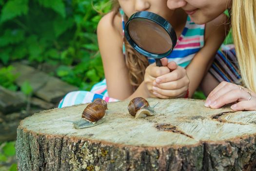 The child examines the snails on the tree. Selective focus. Kid.