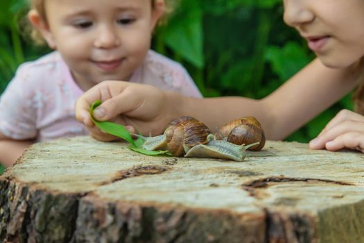 The child examines the snails on the tree. Selective focus. Kid.