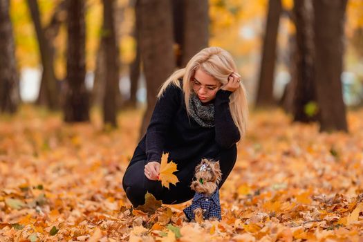 girl with her yorkshire terrier dog in the park