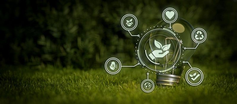 ESG icon for the environment, society, and governance in sustainable lightbulb and beautiful grass 3d Render