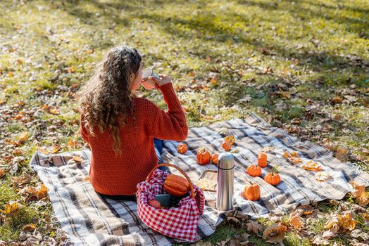 Leisure, free time. Beautiful caucasian woman in red sweater on a picnic outdoors, sitting on a plaid in autumn forest