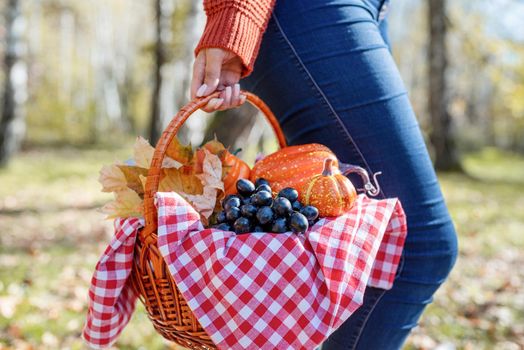 Leisure, free time. Beautiful caucasian woman in red sweater on a picnic outdoors, sitting on a plaid in autumn forest