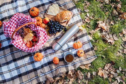 Leisure, free time. Beautiful caucasian woman in red sweater on a picnic outdoors, sitting on a plaid in autumn forest