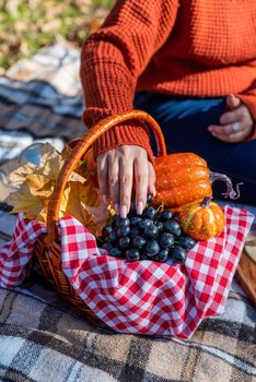 Leisure, free time. Beautiful caucasian woman in red sweater on a picnic outdoors, sitting on a plaid in autumn forest