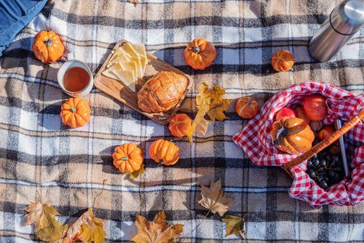 Leisure, free time. Beautiful caucasian woman in red sweater on a picnic outdoors, sitting on a plaid in autumn forest