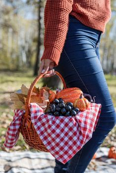 Leisure, free time. Beautiful caucasian woman in red sweater on a picnic outdoors, sitting on a plaid in autumn forest