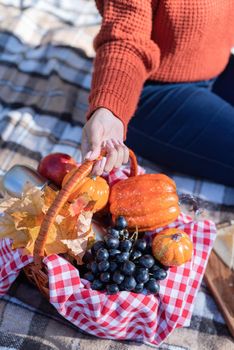 Leisure, free time. Beautiful caucasian woman in red sweater on a picnic outdoors, sitting on a plaid in autumn forest