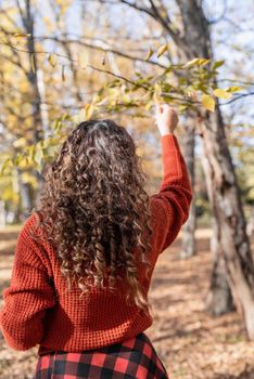 Autumn nature. young happy woman in red sweater and skirt walking in autumn forest