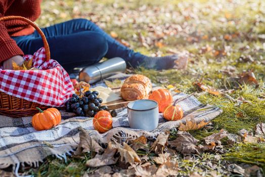 Leisure, free time. Beautiful caucasian woman in red sweater on a picnic outdoors, sitting on a plaid in autumn forest