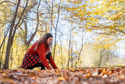 Autumn nature. Young happy woman in red sweater gathering leaves in autumn forest