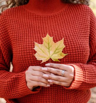 Autumn nature. Young happy woman in red sweater gathering leaves in autumn forest