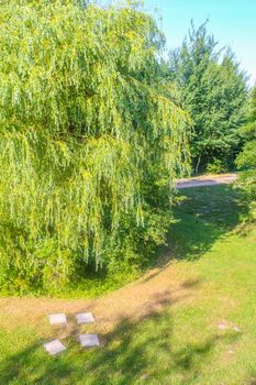 Natural beautiful panorama view with pathway and green plants trees in the forest of Hemmoor Hechthausen in Cuxhaven Lower Saxony Germany.