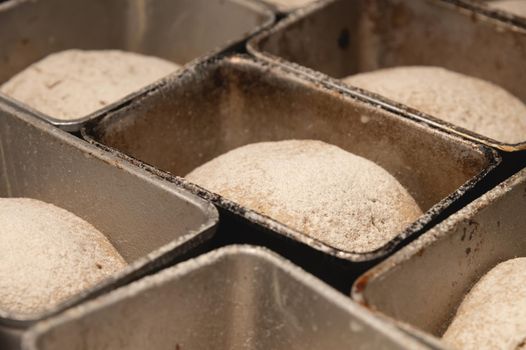 The dough for baking bread lies in bread metal forms. Dough sprinkled with sunflower seeds. Bread before baking.