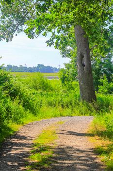 Natural beautiful panorama view with pathway and green plants trees in the forest of Hemmoor Hechthausen in Cuxhaven Lower Saxony Germany.