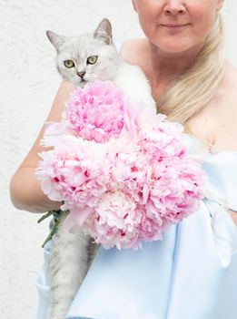 the hostess hugs a cute gray kitten with green eyes of the Scottish breed against the background of pink peonies and a blue dress of the bride. High quality photo