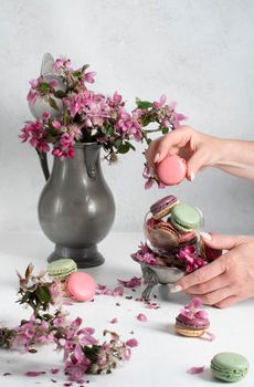 spring still life with colored macaroons and pink apple tree flowers in a pewter vase, colorful sweet food close up. High quality photo