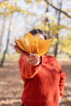 Autumn nature. Young happy woman in red sweater gathering leaves in autumn forest