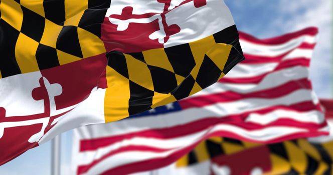 The Maryland state flag waving along with the national flag of the United States of America. In the background there is a clear sky. Maryland is a state in the Mid-Atlantic region of the United States