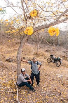 Nicaraguan peasant father and son under a Cortez tree with yellow flowers and a motorcycle next to them