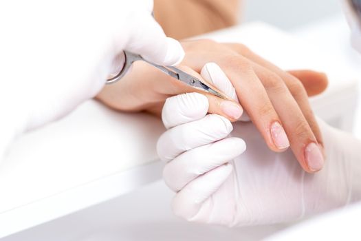 Close up of manicurist using manicure scissors to remove cuticle of female nails in manicure salon