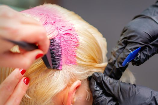 Professional hairdresser dyes hair of young woman in pink color. Close up of process of dyeing hair pink