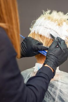 Hairdresser dyes hair of young woman in white color in hairdress salon.