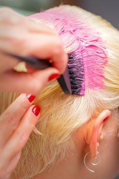 Professional hairdresser dyes hair of young woman in pink color. Close up of process of dyeing hair pink