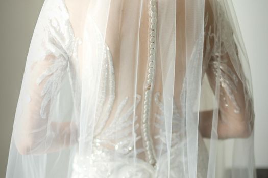 Back of bride in white wedding dress with veil standing in the room. Back view