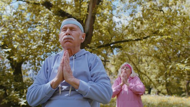 Athletic fitness senior elderly sport man woman training cardio workout stretching in summer park at morning. Old grandparents enjoying practicing yoga healthy lifestyle. Active retired mature people