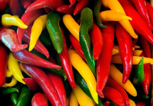 Colorful Mexican Hot Pepper Mix For Sale