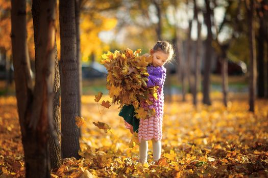 Little cute girl 6 years old with a huge bouquet of yellow autumn maple leaves in the autumn city park.