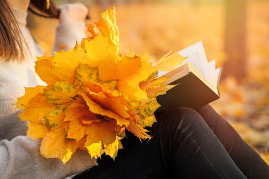 Close-up on an autumn bouquet of yellow leaves and a book on a woman's lap. Autumn mood in autumn park.
