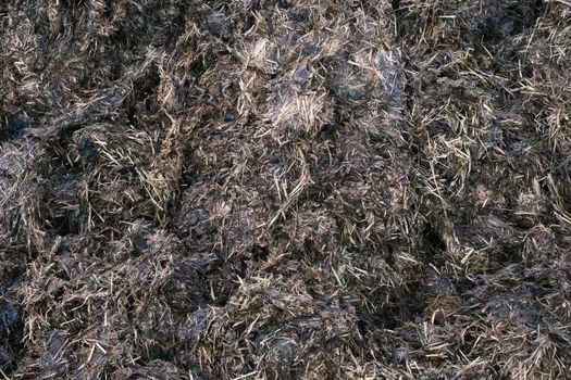 Abstract Background Texture Of Agricultural Manure