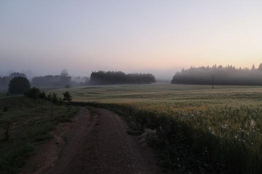 Beautiful natural pastoral scenery of countryside landscape in summer.