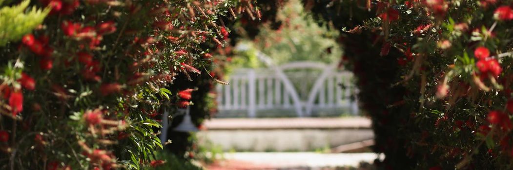 Close-up of beautiful arch of red flowers in garden. Floral arbor in yard. Romantic tunnel for wedding ceremonies. Decoration for open air celebration