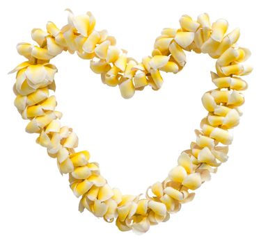 Isolated Romantic Heart-Shaped Hawaiian Lei (Garland of Flowers), On A White Background