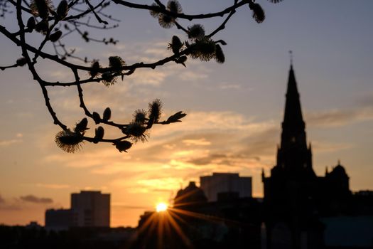 Glasgow Cathedral As Seen From The Necropolis At Sunset, With Focus On Branches In The Foreground