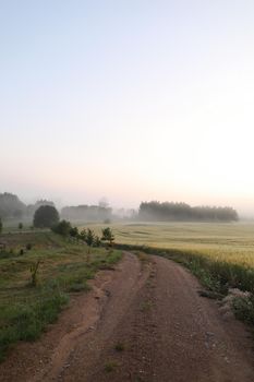 Beautiful natural pastoral scenery of countryside landscape in summer.