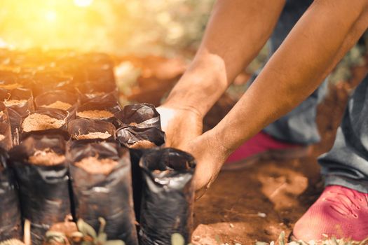 Nicaraguan man transplanting trees in plastic bags to reforest