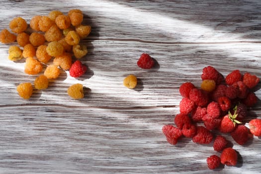 Two handfuls of fresh red and yellow raspberry on white wooden table, flat lay, top view, selective focus.