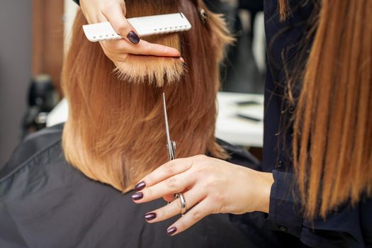 Hairdresser cuts red hair tips holding lock of red hair between fingers in beauty salon. Getting rid of split ends