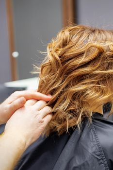 Hairdresser doing hairstyle for young woman with red curly hair and with smartphone in her hands in beauty salon